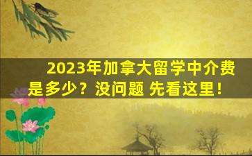 2023年加拿大留学中介费是多少？没问题 先看这里！